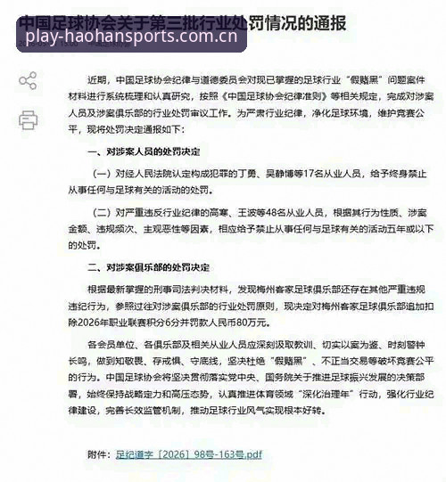 资深用户分享：从足协第三批禁足名单看中国足球的“深海”清理行动